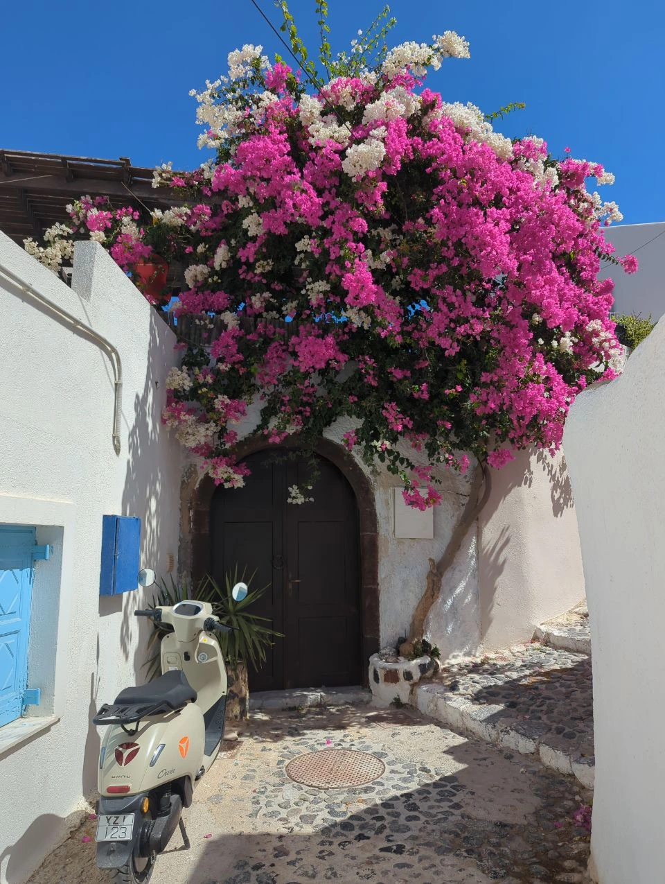 Fleurs roses et blanches près d’une porte de village à Pyrgos