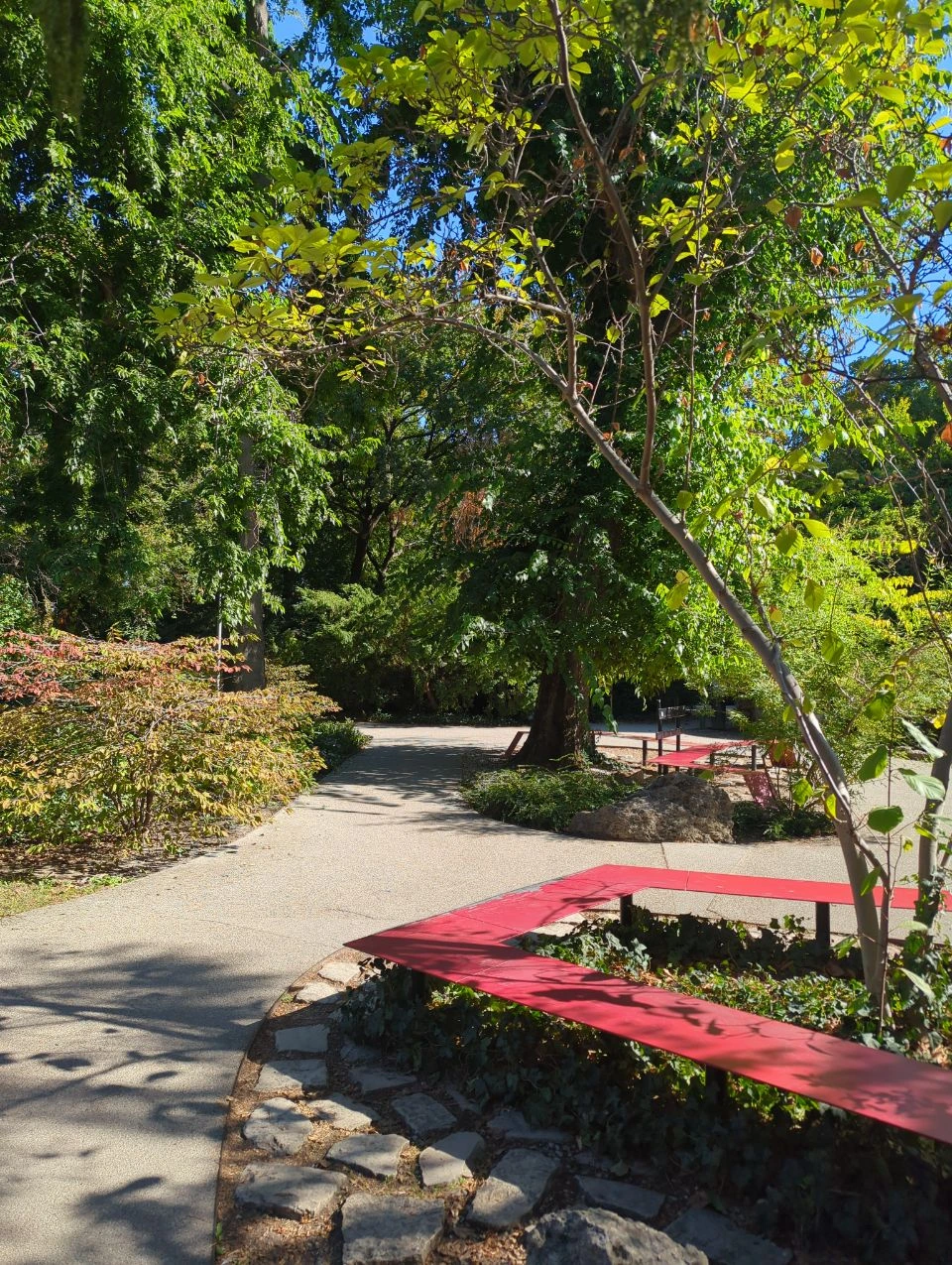 Puente peatonal rojo y senderos verdes del jardín japonés en Isla Margarita