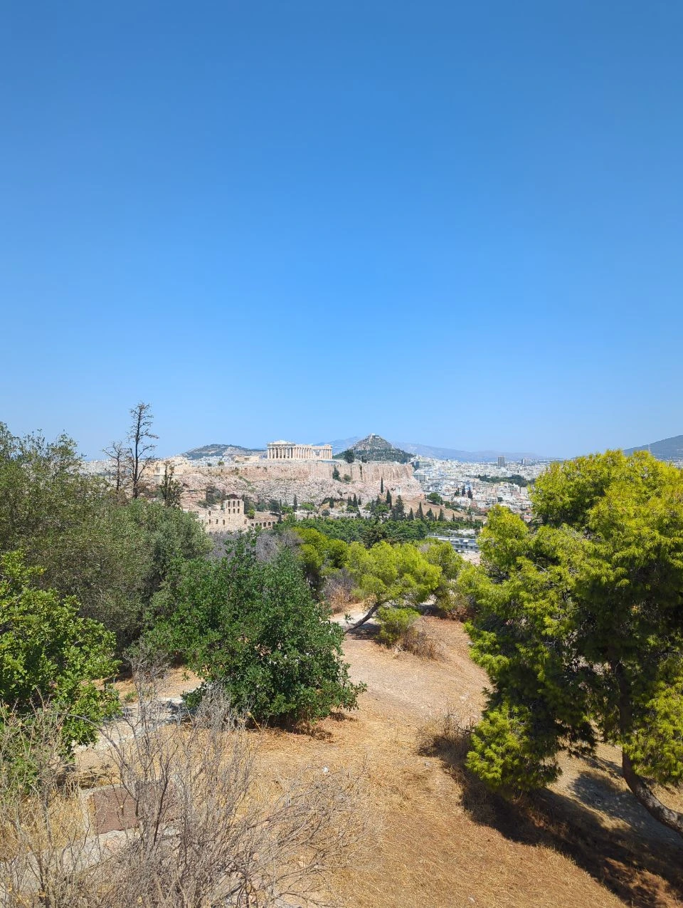 Acropolis View from Philopappos Hill The Acropolis rises above central Athens, framed by trees and a rocky path on Philopappos Hill.
