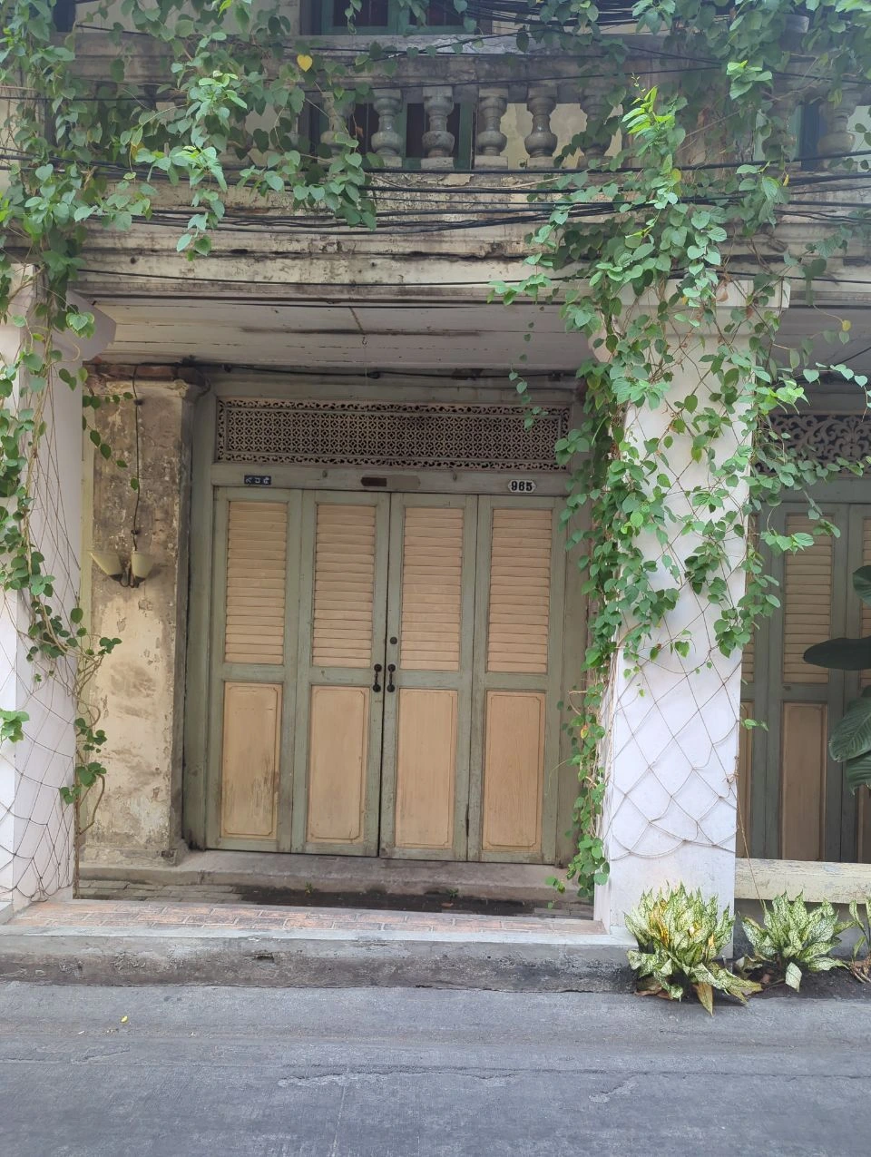 Talat Noi Photoshoot Guide - Leafy Song Wat Doorway Pale wooden doors framed by trailing green vines and weathered plaster create a quiet street scene near Song Wat in Bangkok.