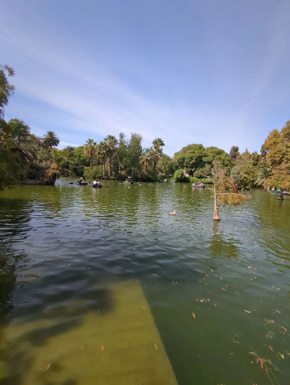 Rowing boats cross the green lake in Parc de la Ciutadella, showing the open setting available on a longer Barcelona photoshoot route.