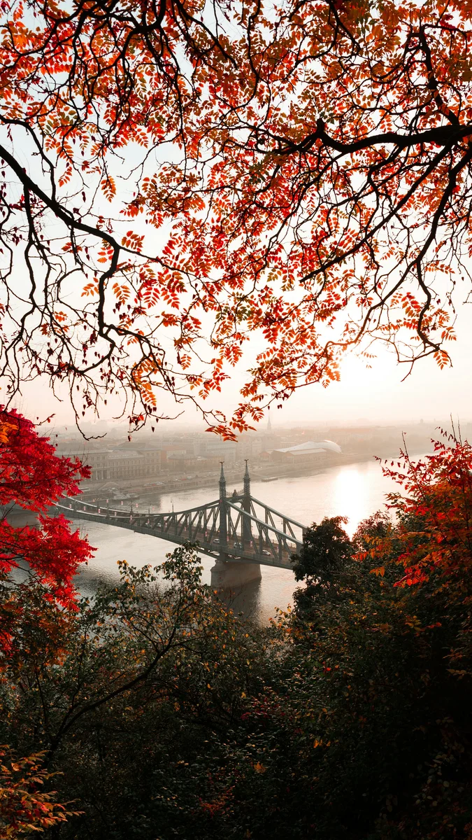 Photo of bridge in Budapest trough fall-colored leaves