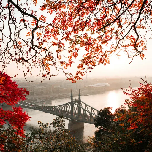 Photo of bridge in Budapest trough fall-colored leaves