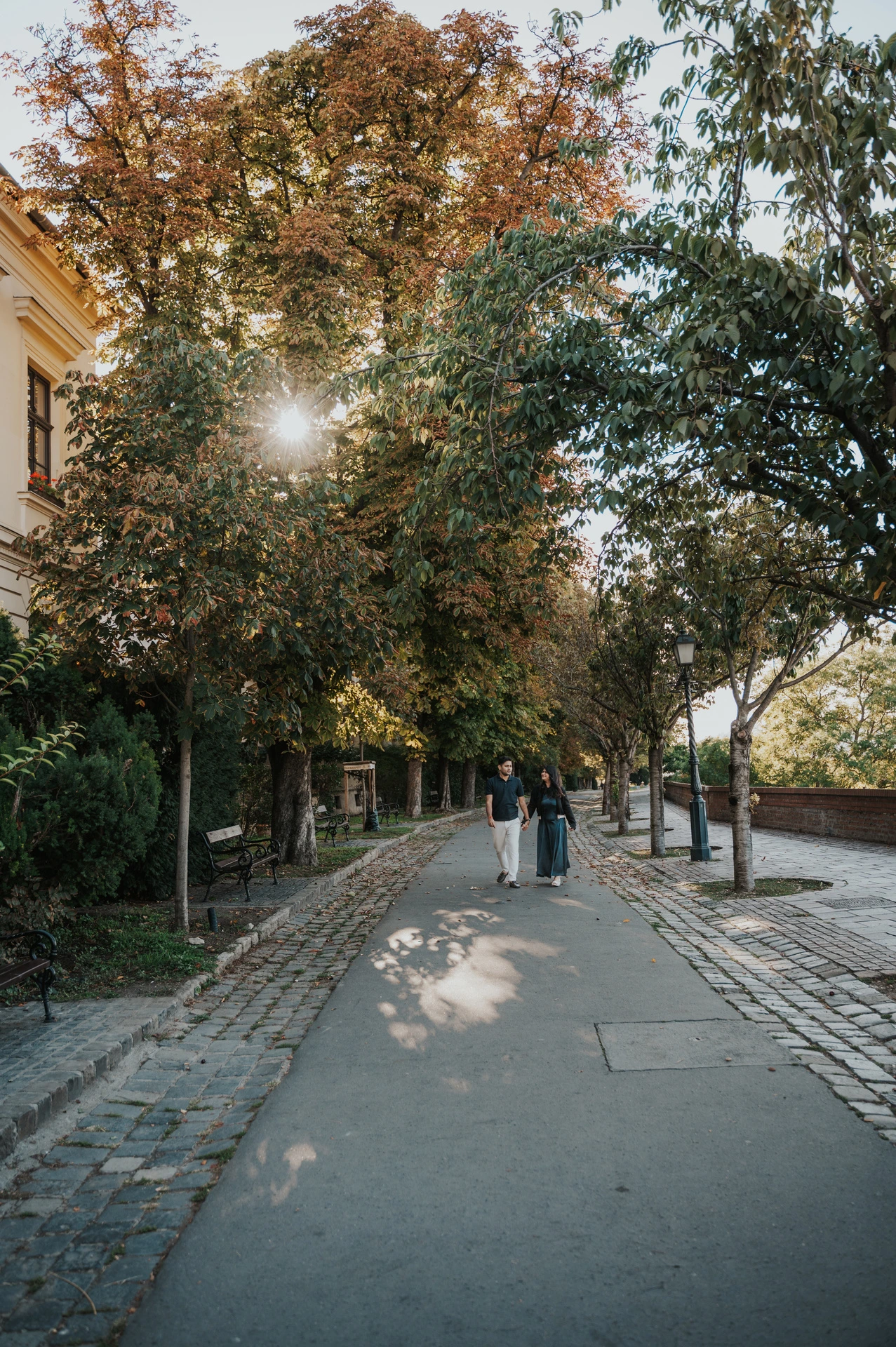 A wide view of the couple walking beneath the trees on Tóth Árpád promenade during a couple photoshoot in Budapest.
