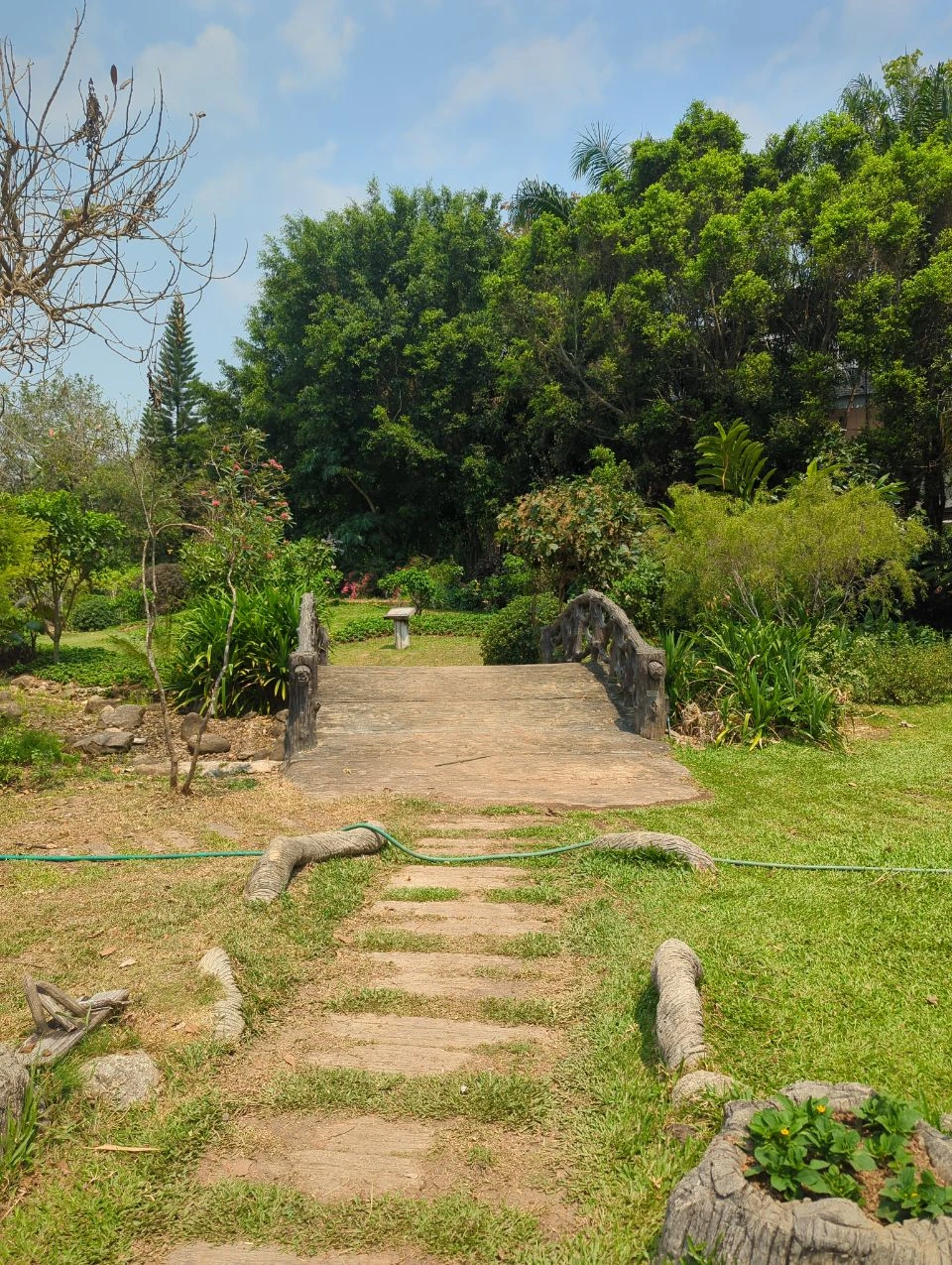 Stone bridge and green planting inside Royal Park Rajapruek