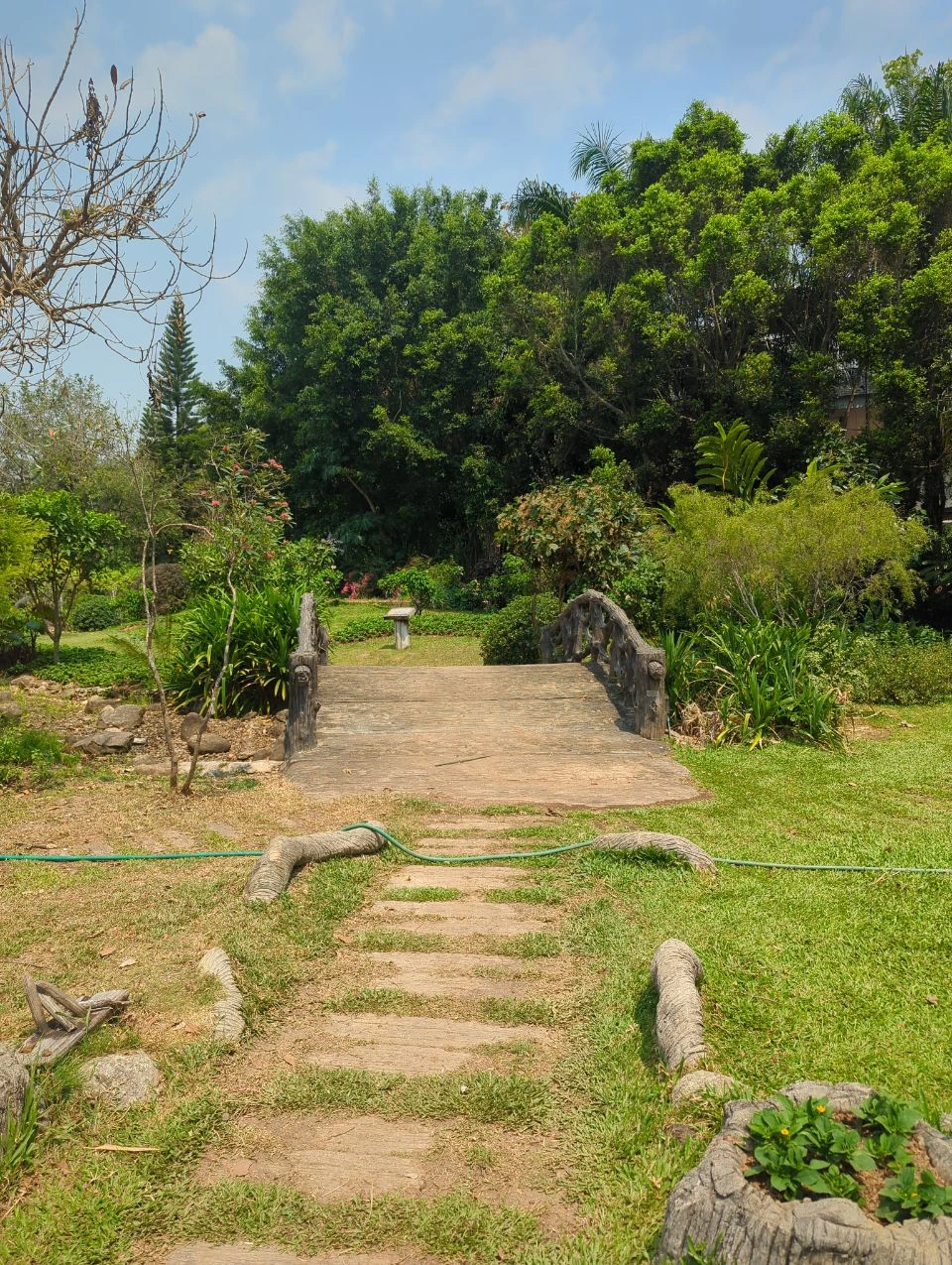 Best Places to Propose in Chiang Mai: Gardens, Old City Corners and Mountain Views Best Places to Propose in Chiang Mai: Gardens, Old City Corners and Mountain Views