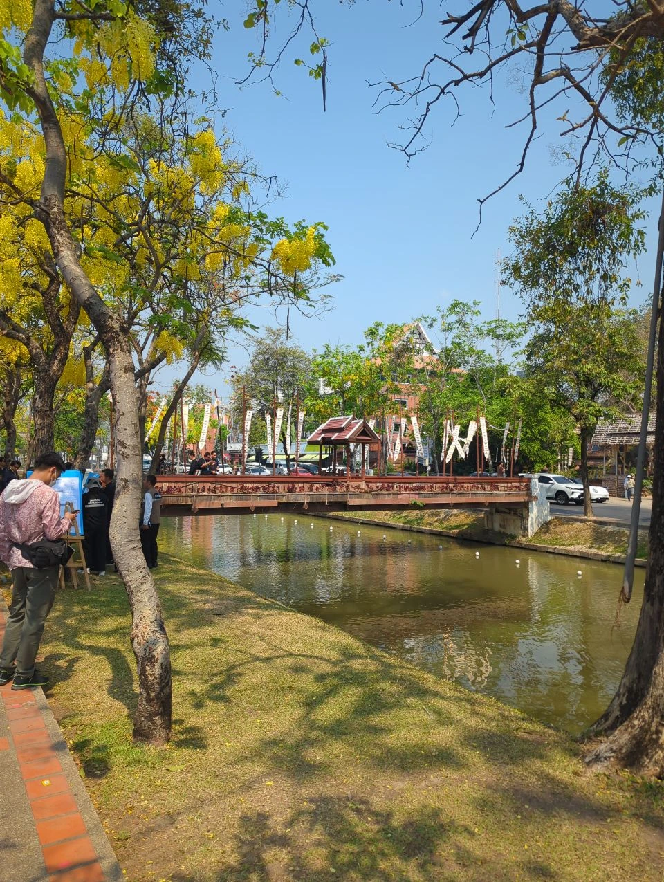 Moat, bridge and flowering trees beside Chiang Mai’s Old City