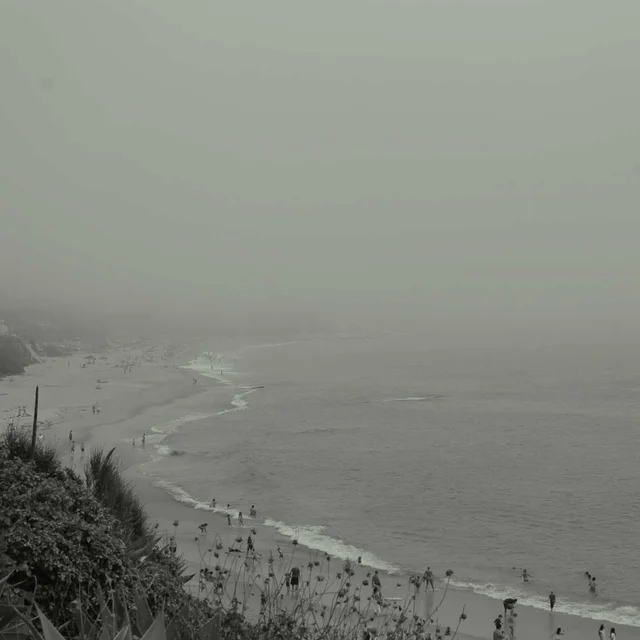 Close-up of green bamboo stalks showing natural segments and nodes in shallow depth of field Close-up of green bamboo stalks showing natural segments and nodes in shallow depth of field