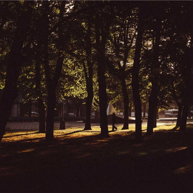 Close-up of green bamboo stalks showing natural segments and nodes in shallow depth of field Close-up of green bamboo stalks showing natural segments and nodes in shallow depth of field