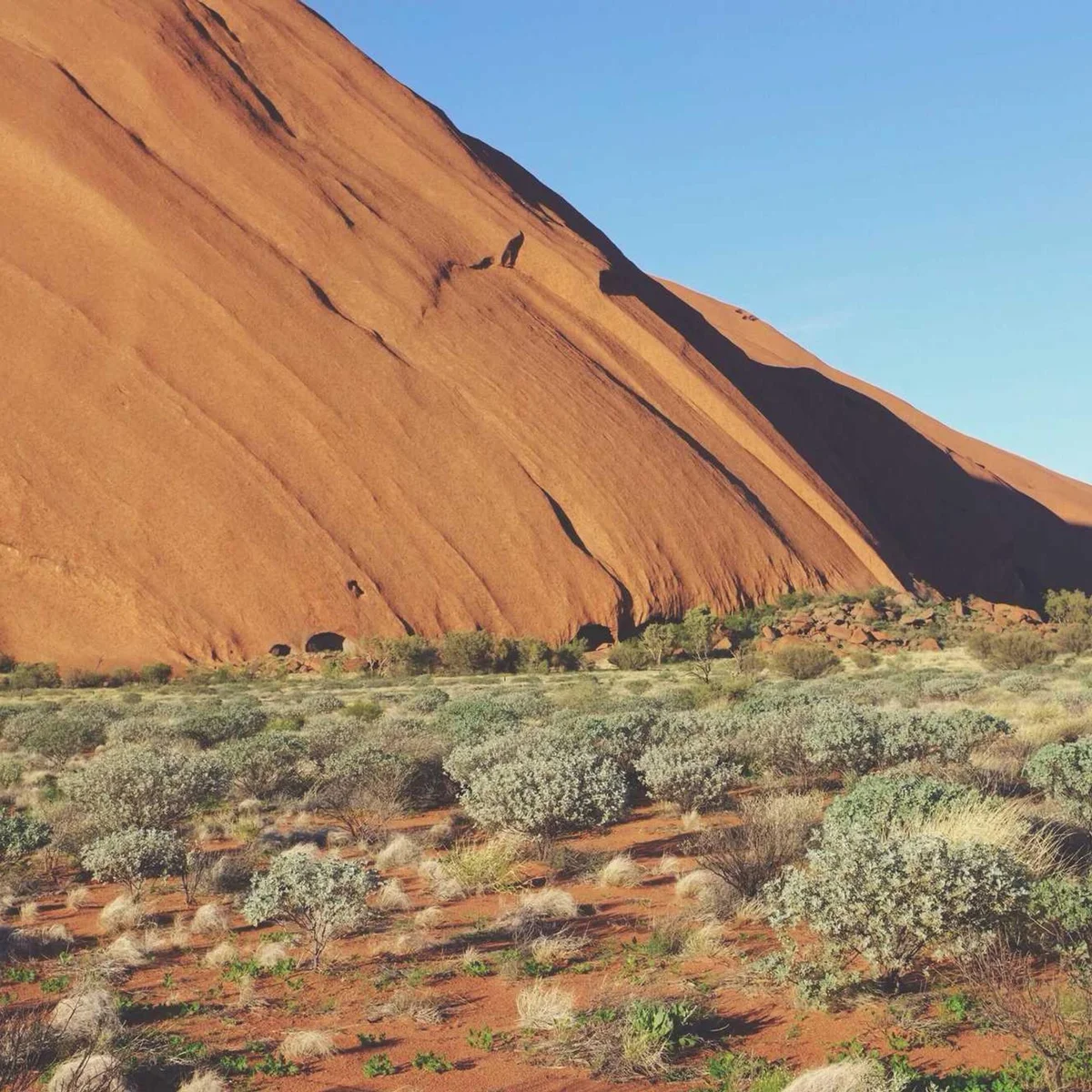 Uluru Ayers Rock rising above Australian outback desert with native