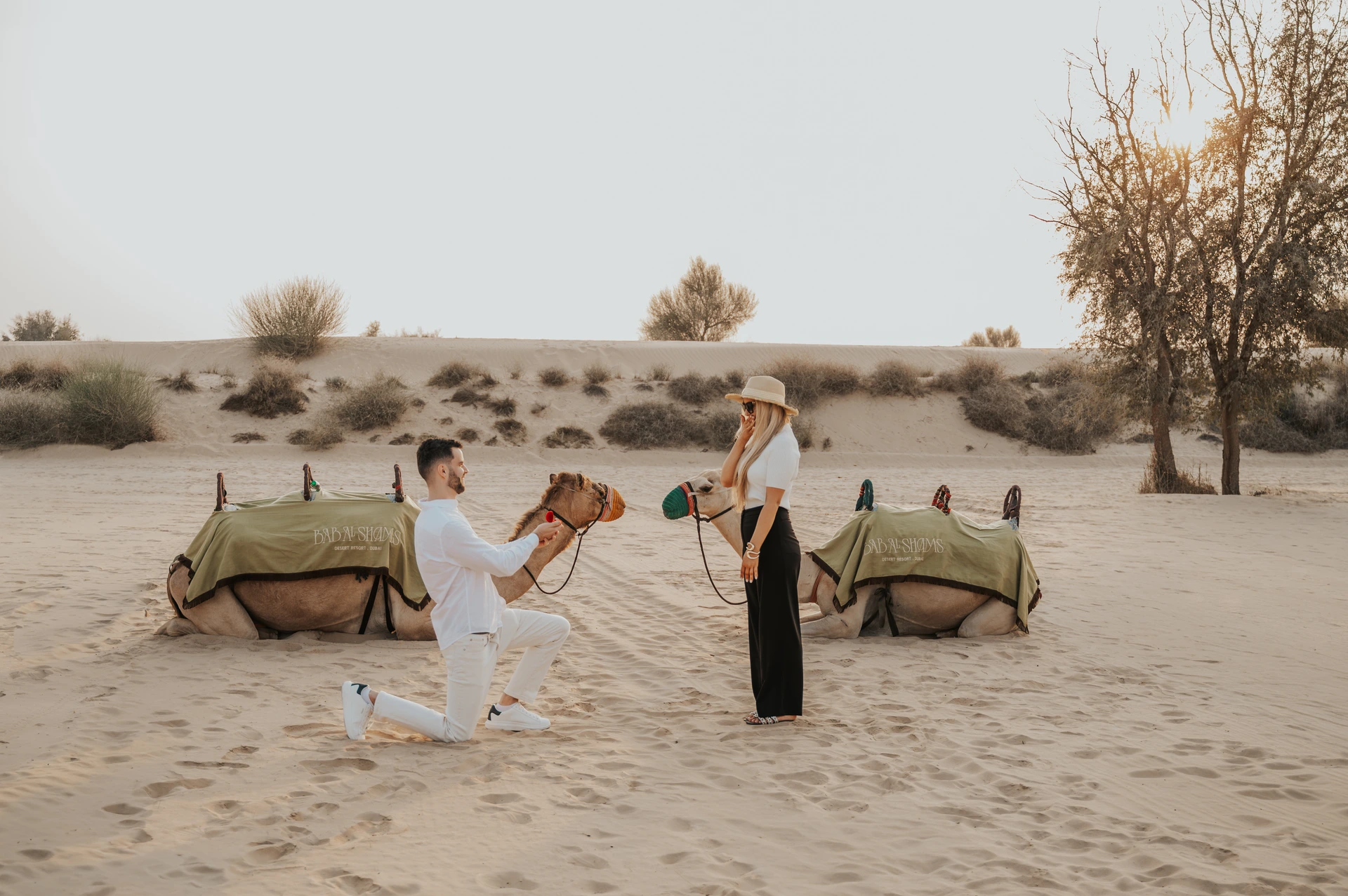 A proposal scene in Dubai desert near camels as the groom-to-be kneels and offers the ring.