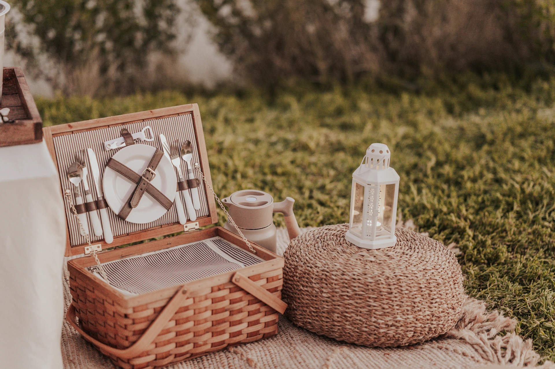 Details of a Dubai picnic proposal setup