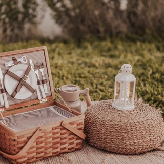 Details of a Dubai picnic proposal setup