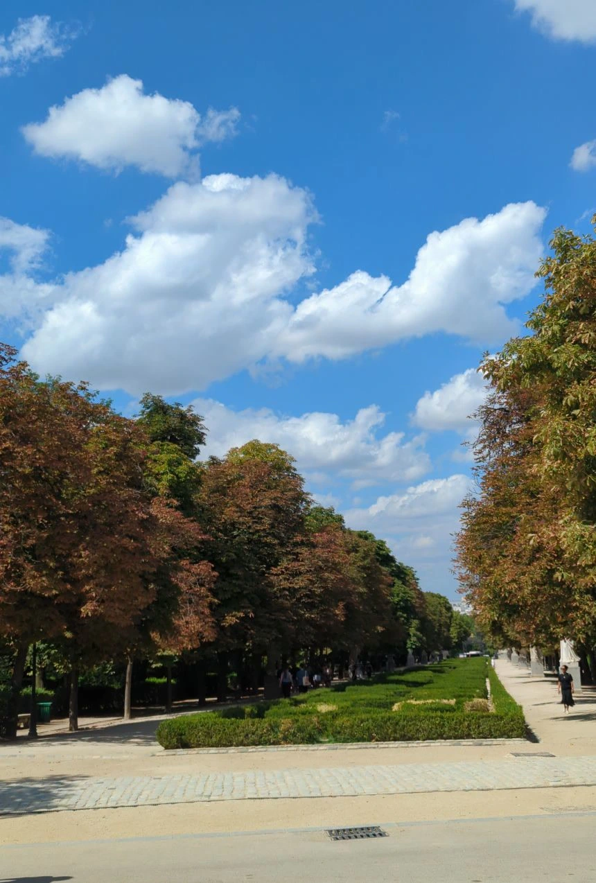 El Retiro Photoshoot Route - Tree-Lined Walk A long tree-lined avenue with central hedges and passing visitors shows the greener opening of an El Retiro photoshoot route.