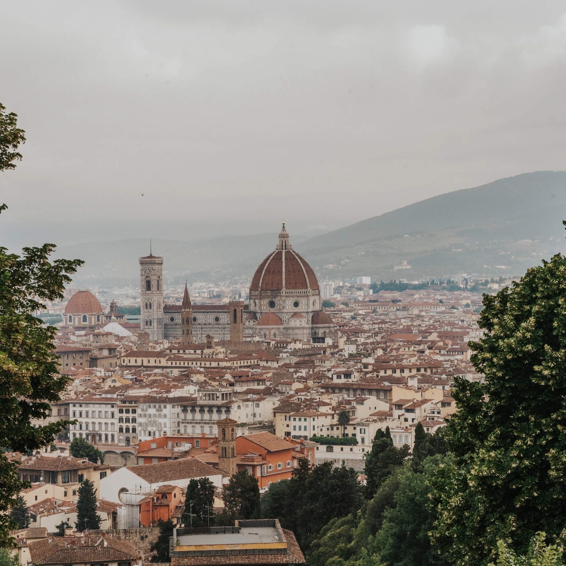 Il Duomo si innalza sopra i tetti in cotto di Firenze, incorniciato dagli alberi con le colline in lontananza.