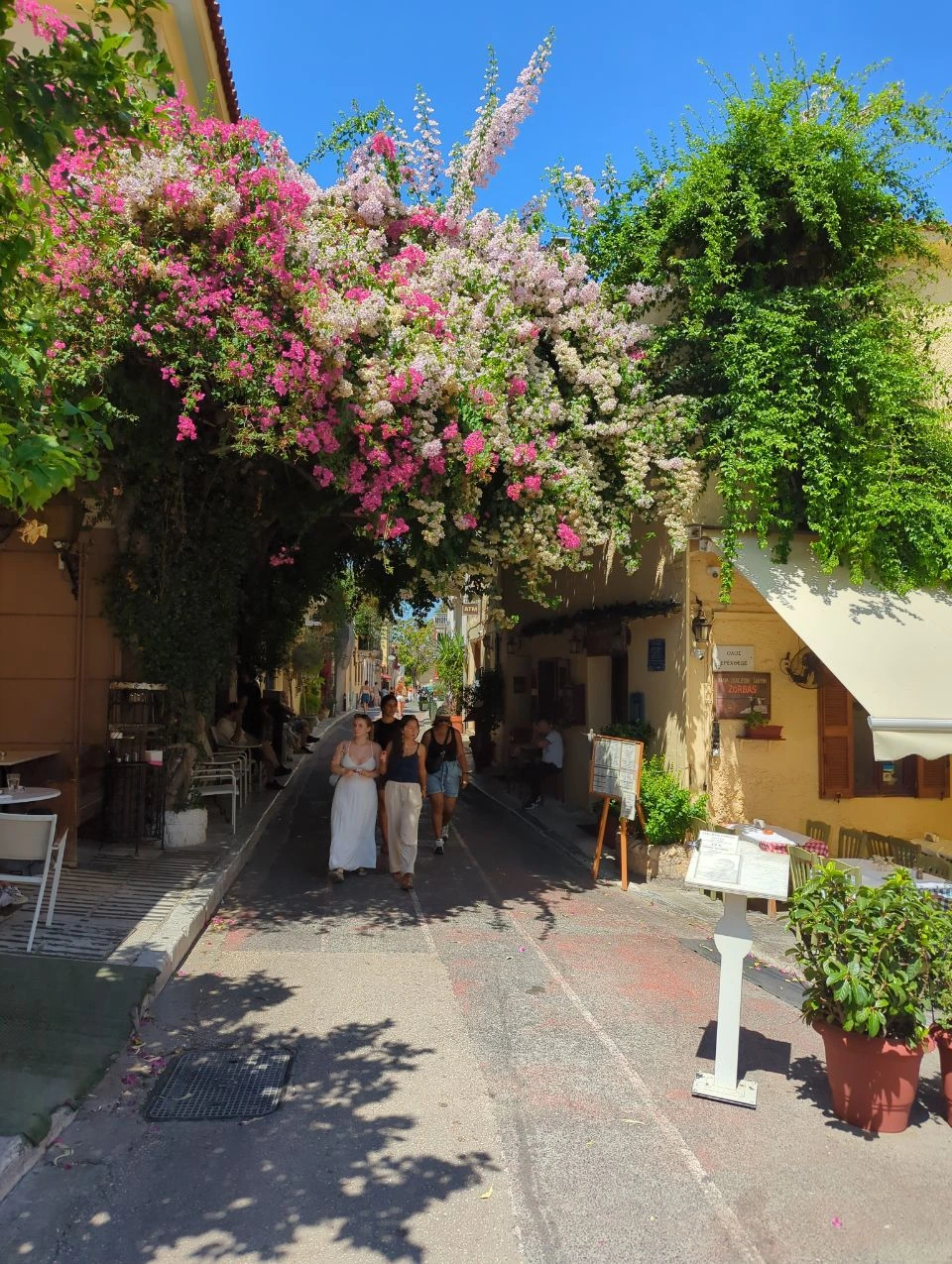 Flower-Covered Plaka Lane in Athens A flower-covered lane in Plaka, Athens, with café tables and pedestrians walking beneath pink and white blooms.