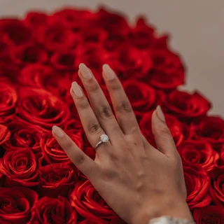 Una foto realizada por un fotógrafo de pedidas de mano en Dubái, que muestra las manos de la mujer frente a hermosas rosas rojas, con el foco en el anillo de diamantes.