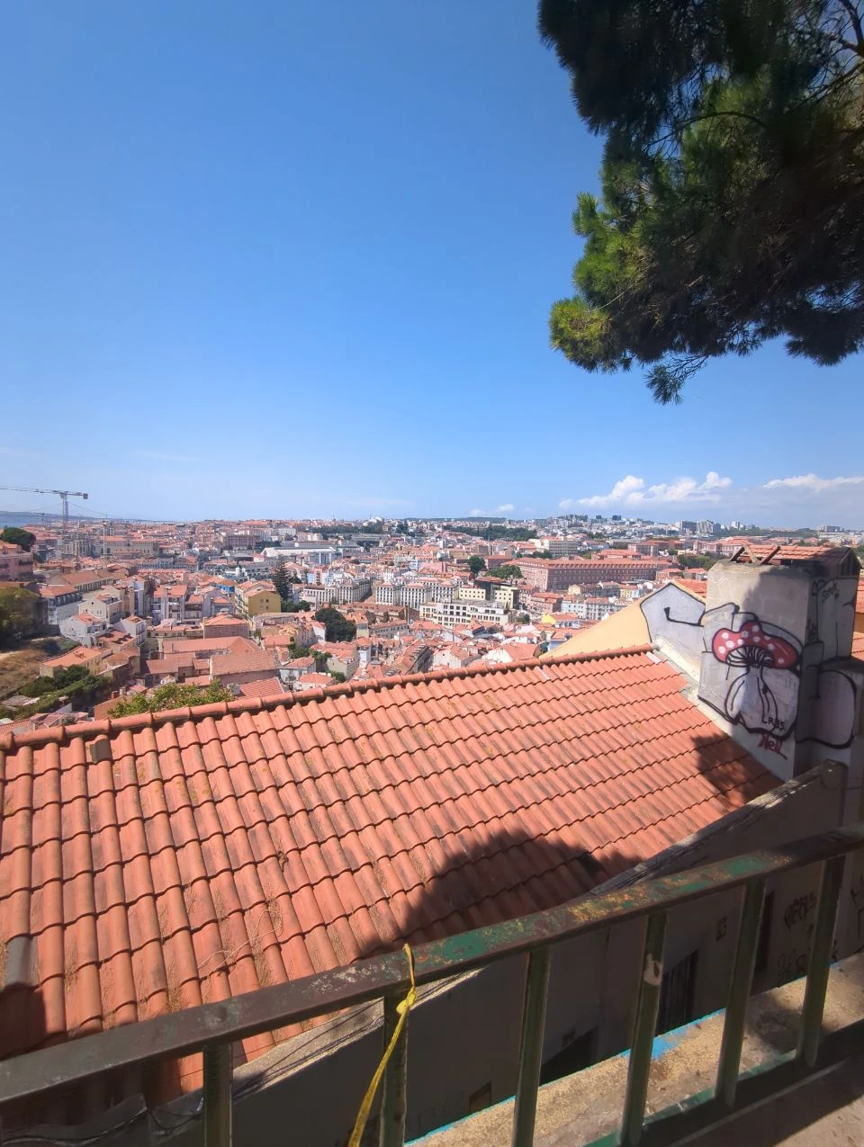 Alfama Photoshoot Route - Graça Rooftop View Terracotta rooftops spread across Lisbon beneath a pine-framed viewpoint in Graça, with a clear blue sky above the city.