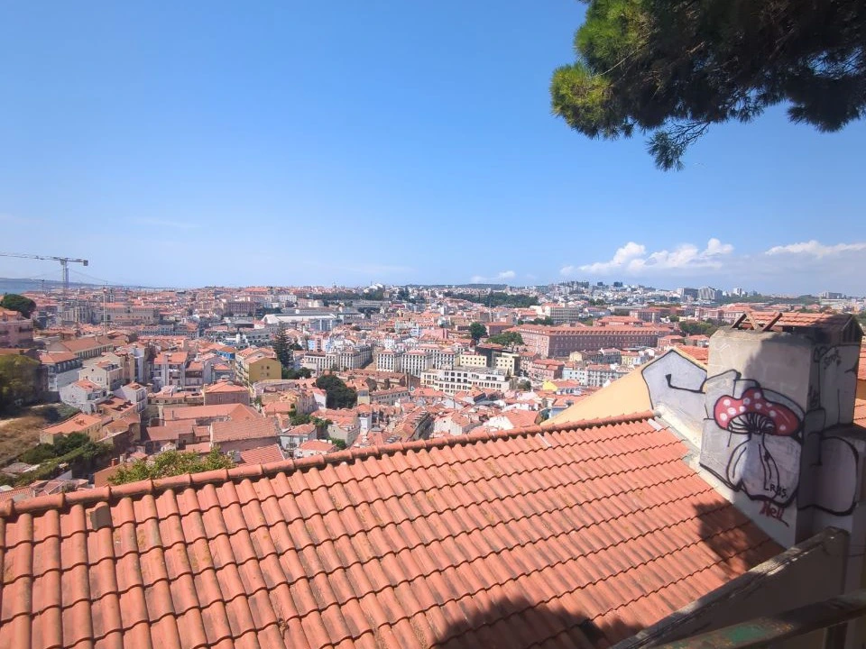 Terracotta rooftops and a leafy pine branch frame the wide Lisbon skyline from the neighbourhood terrace at Graça.