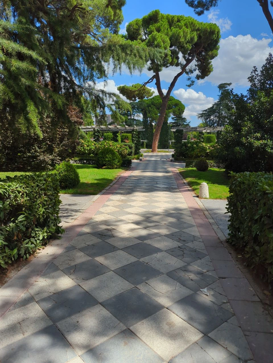Sun and tree shade cross a patterned path between clipped hedges in Madrid's Jardines de Cecilio Rodríguez, an elegant proposal setting.