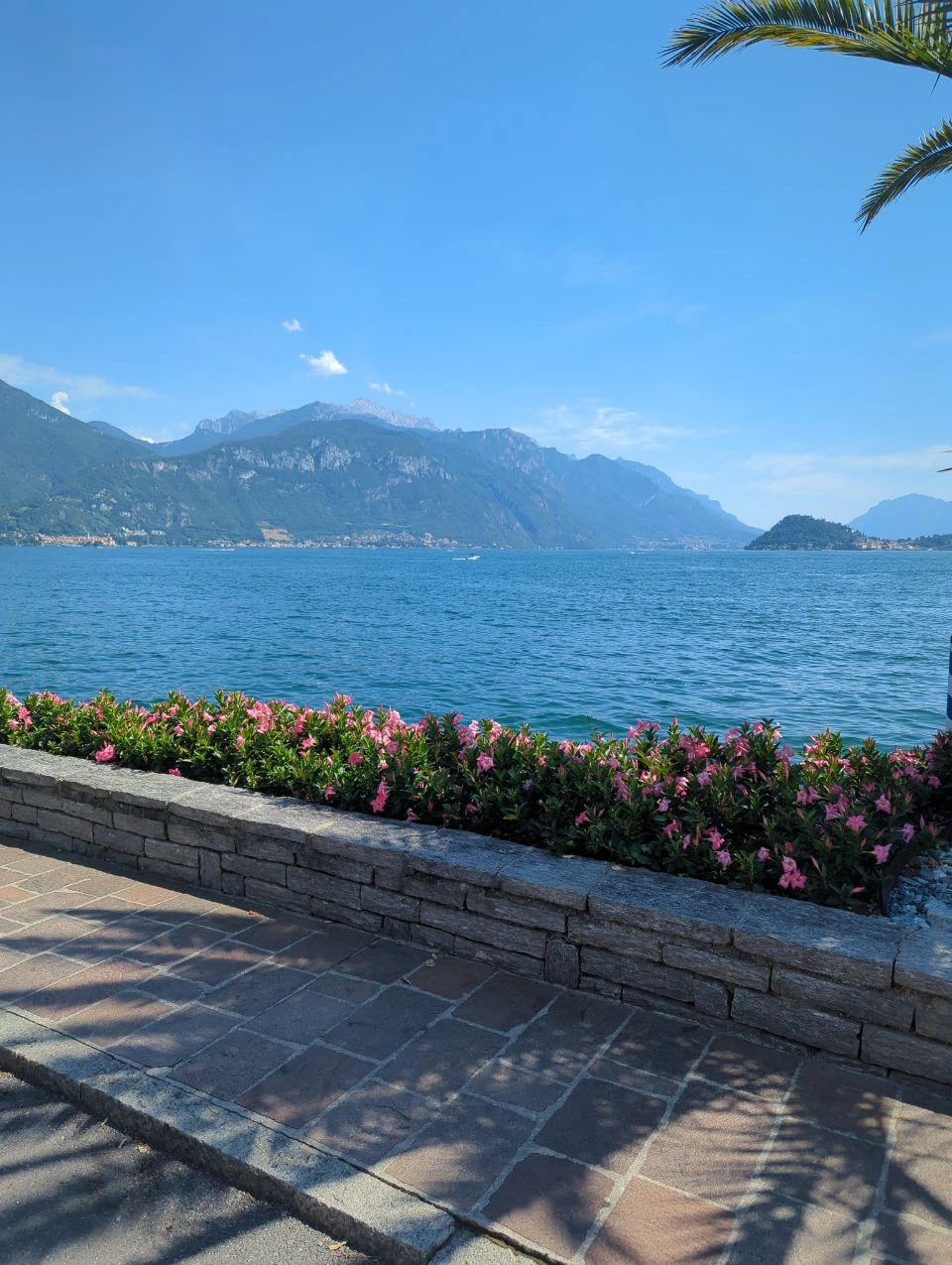 Lake Como and mountain views above a waterfront path with pink flowers