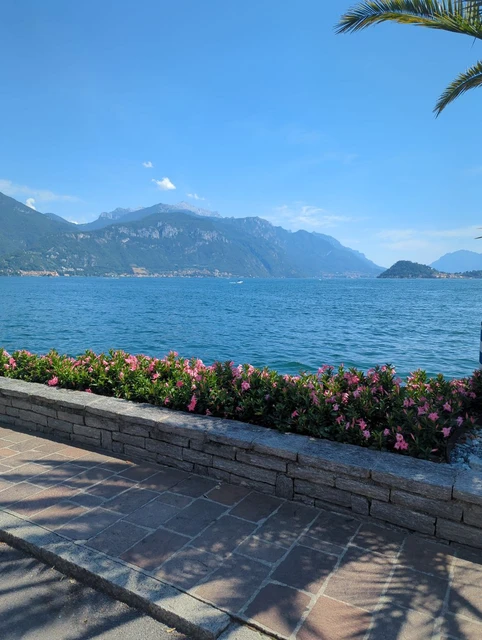Flowers and trees beside Lake Como