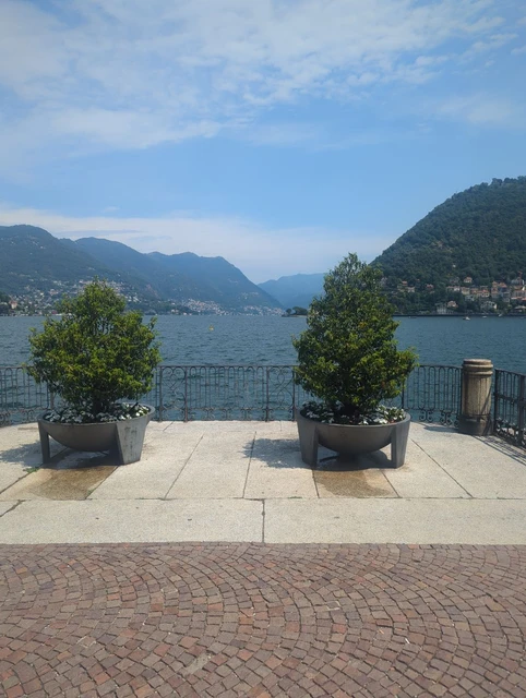 Potted trees on a lakeside terrace at Lake Como
