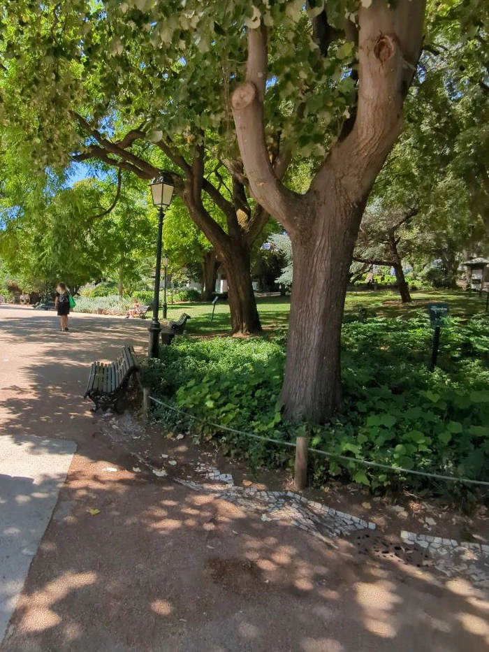 Lisbon Midday Photoshoot - Shaded Garden A leafy Lisbon garden path runs beneath mature trees, with benches, lamp posts and dappled shade along the route.