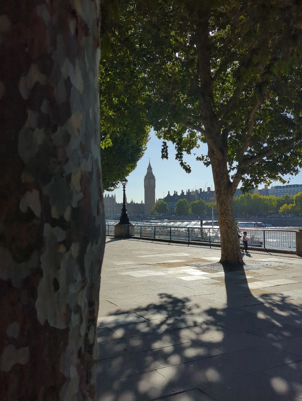 Big Ben across the Thames framed by mature trees along Queen’s Walk in London