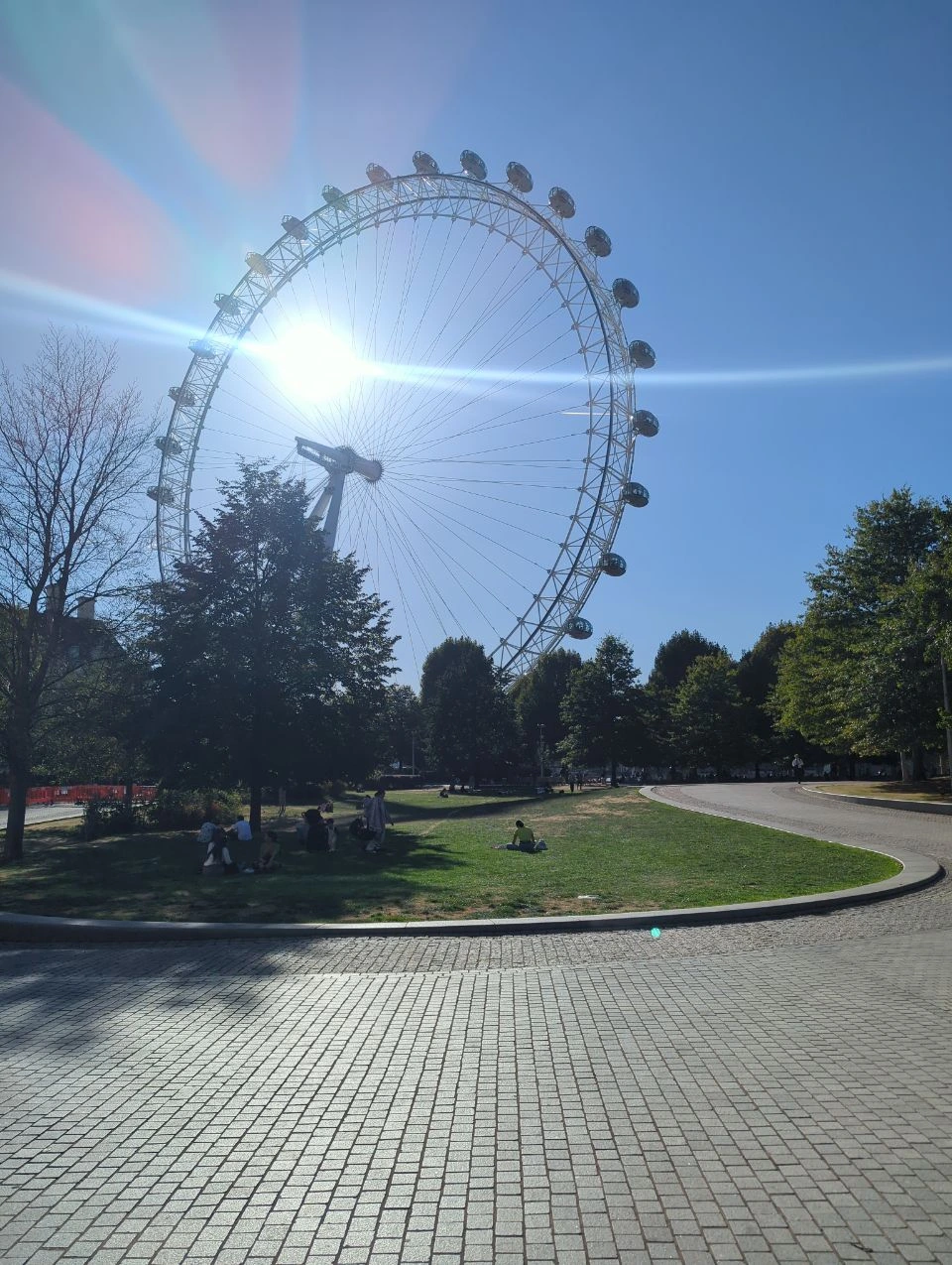 London Eye rising above trees, lawns and a curving path in Jubilee Gardens on a sunny day