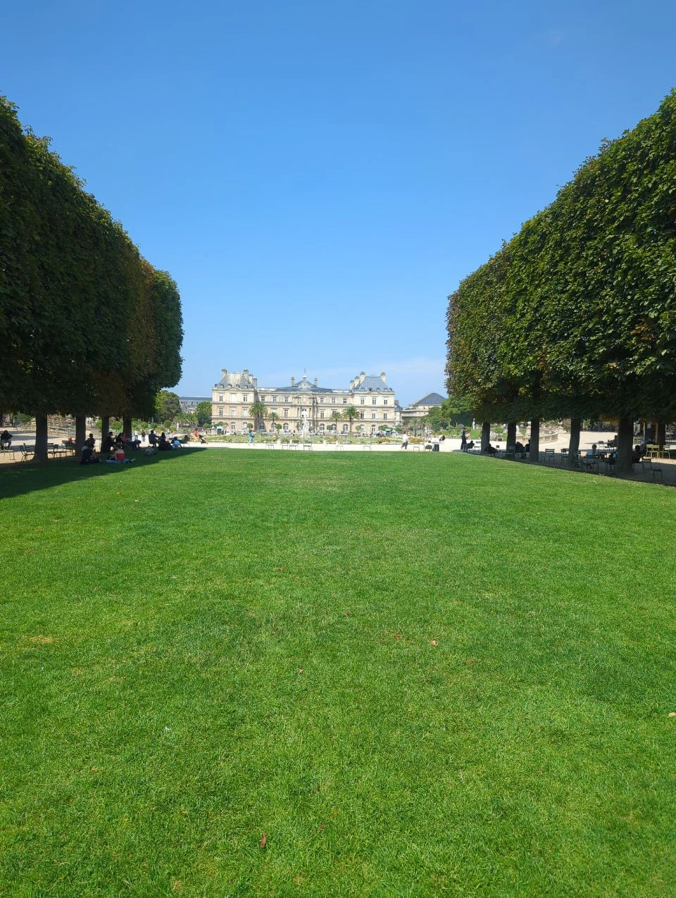 Paris Photo Spots - Luxembourg Gardens Lawn A broad lawn and clipped trees lead towards Luxembourg Palace in Paris, creating a spacious green photoshoot backdrop.