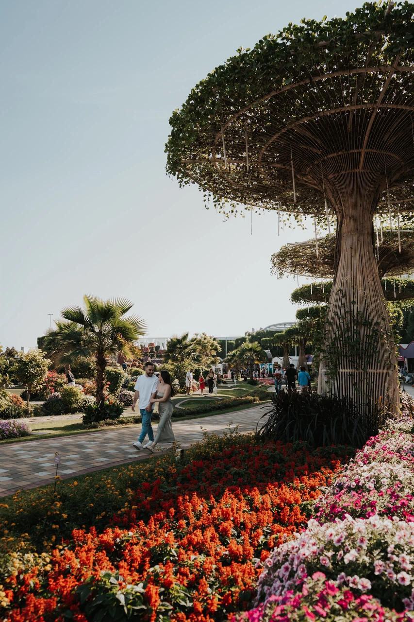 Best couple photoshoot locations Dubai - Miracle Garden wide scene A wide view of a couple in Dubai Miracle Garden surrounded by floral installations, trees, and pathways.