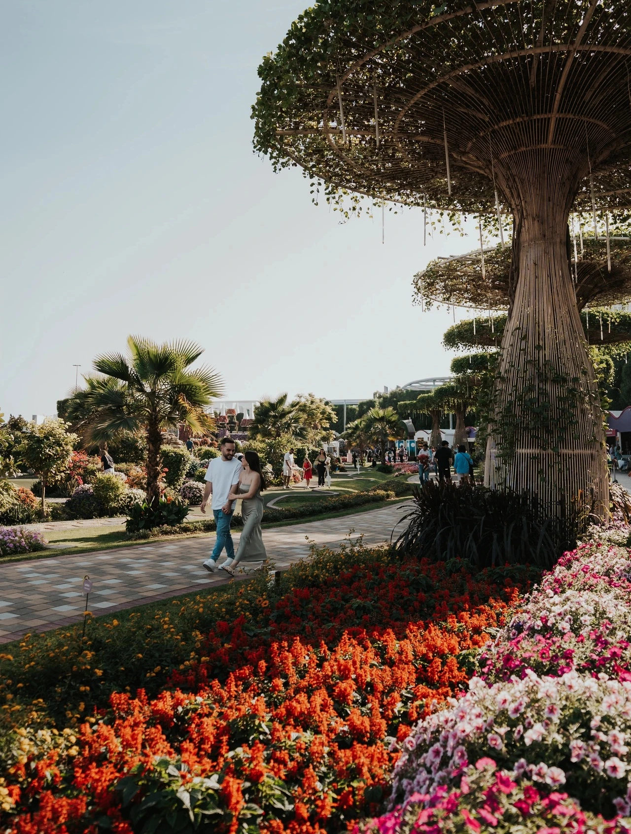 A couple walks along a garden path lined with topiary trees and flowers in Dubai Miracle Garden during a photoshoot.