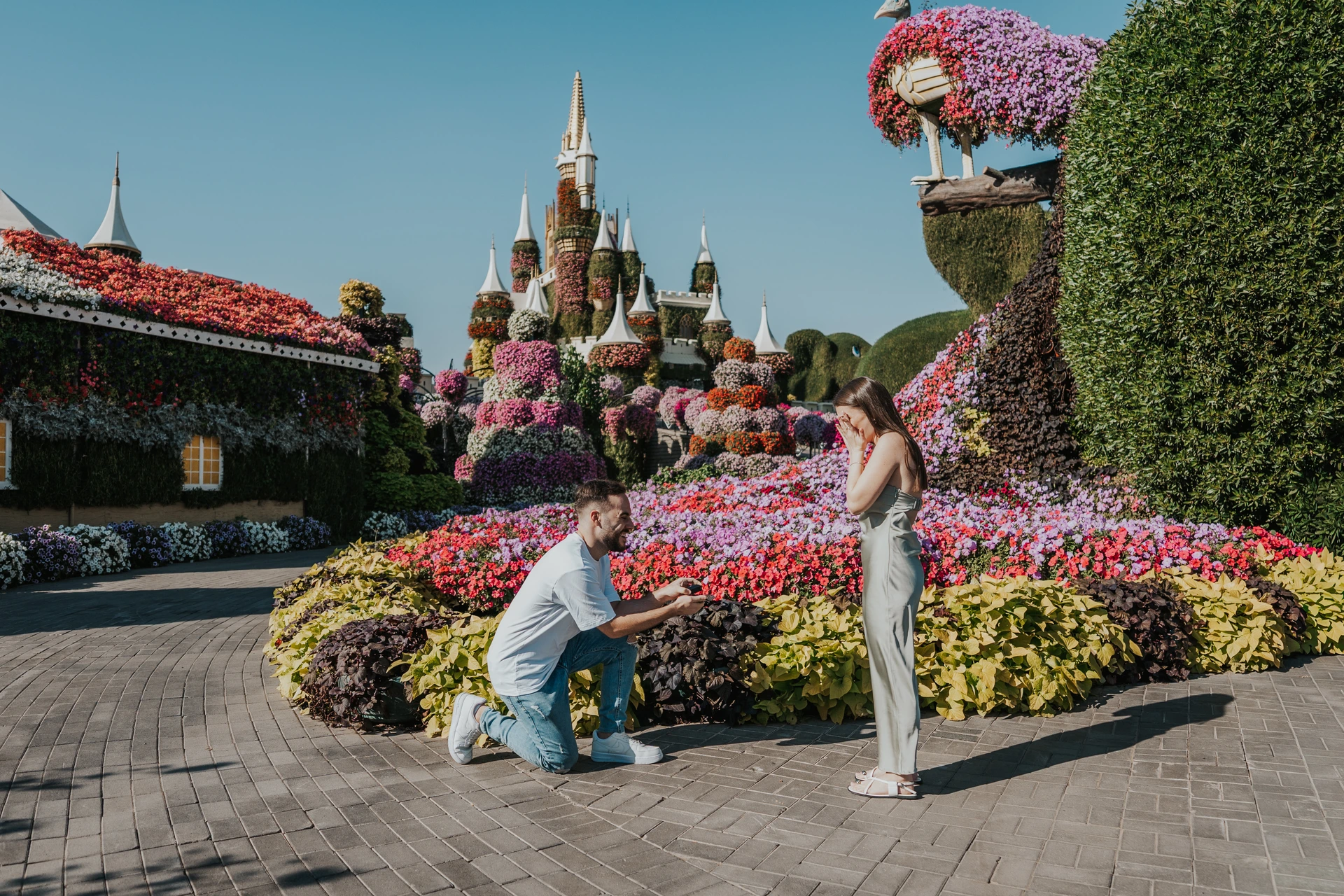 Miracle Garden proposal Dubai moments A couple during a surprise proposal photoshoot in Dubai Miracle Garden surrounded by colorful floral displays.