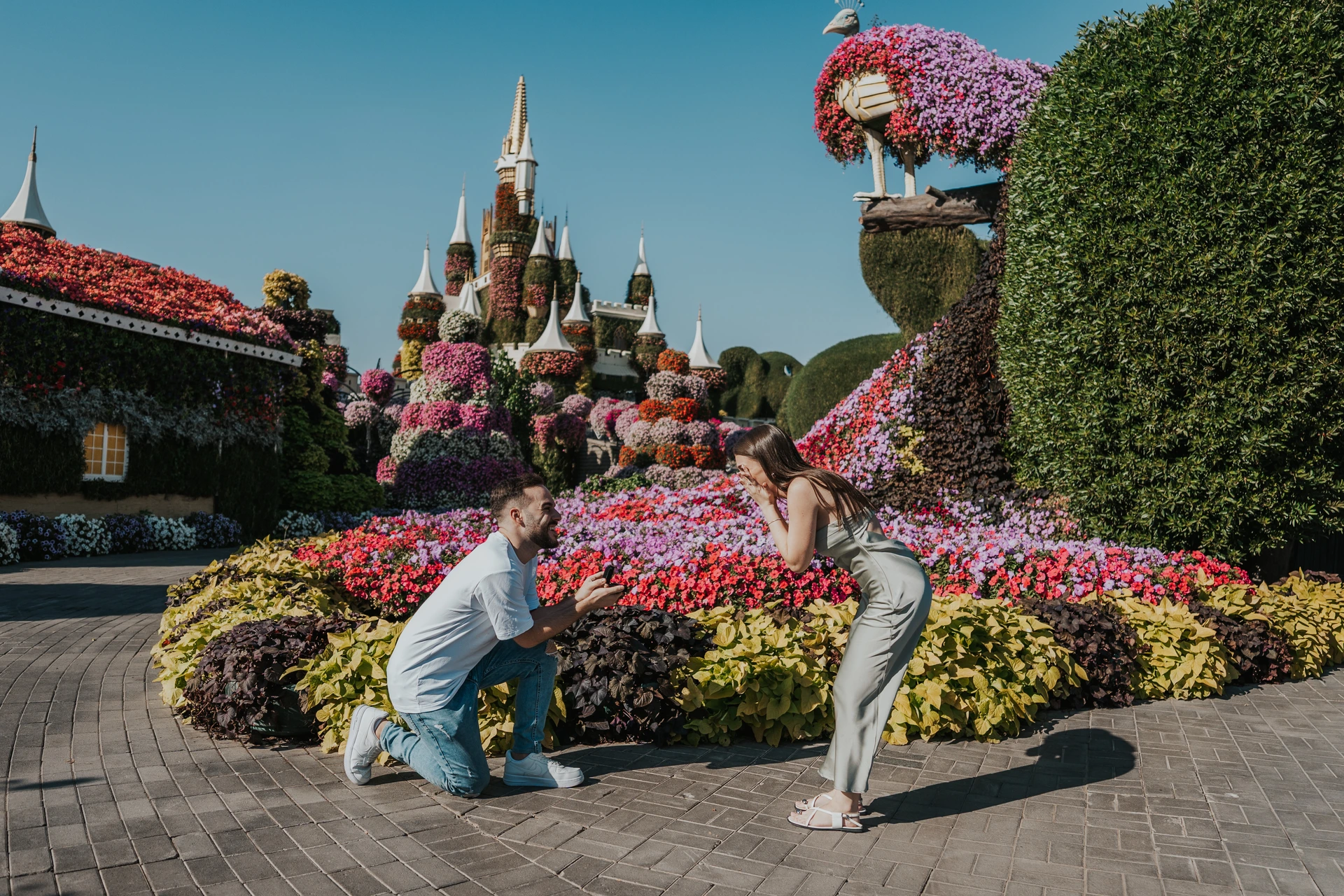 A couple sharing an emotional proposal moment in Dubai Miracle Garden, framed by dense flowers and greenery.