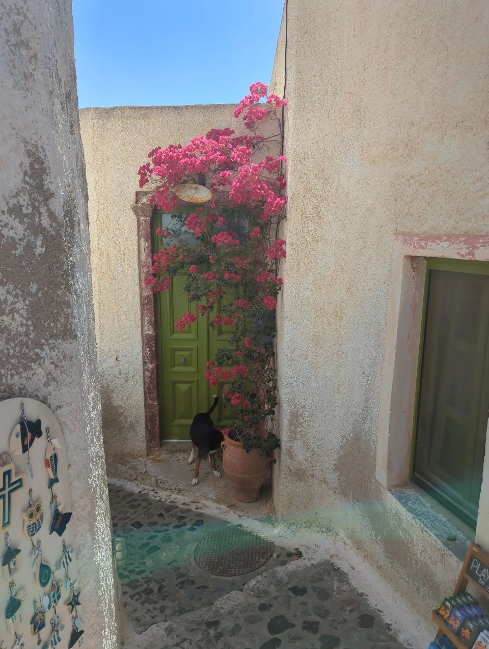 Puerta verde bajo ramas floridas en una callejuela de Pyrgos