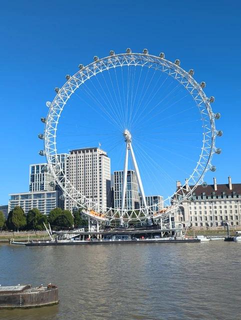 The London Eye seen almost front-on across the Thames, with surrounding buildings and river in the foreground