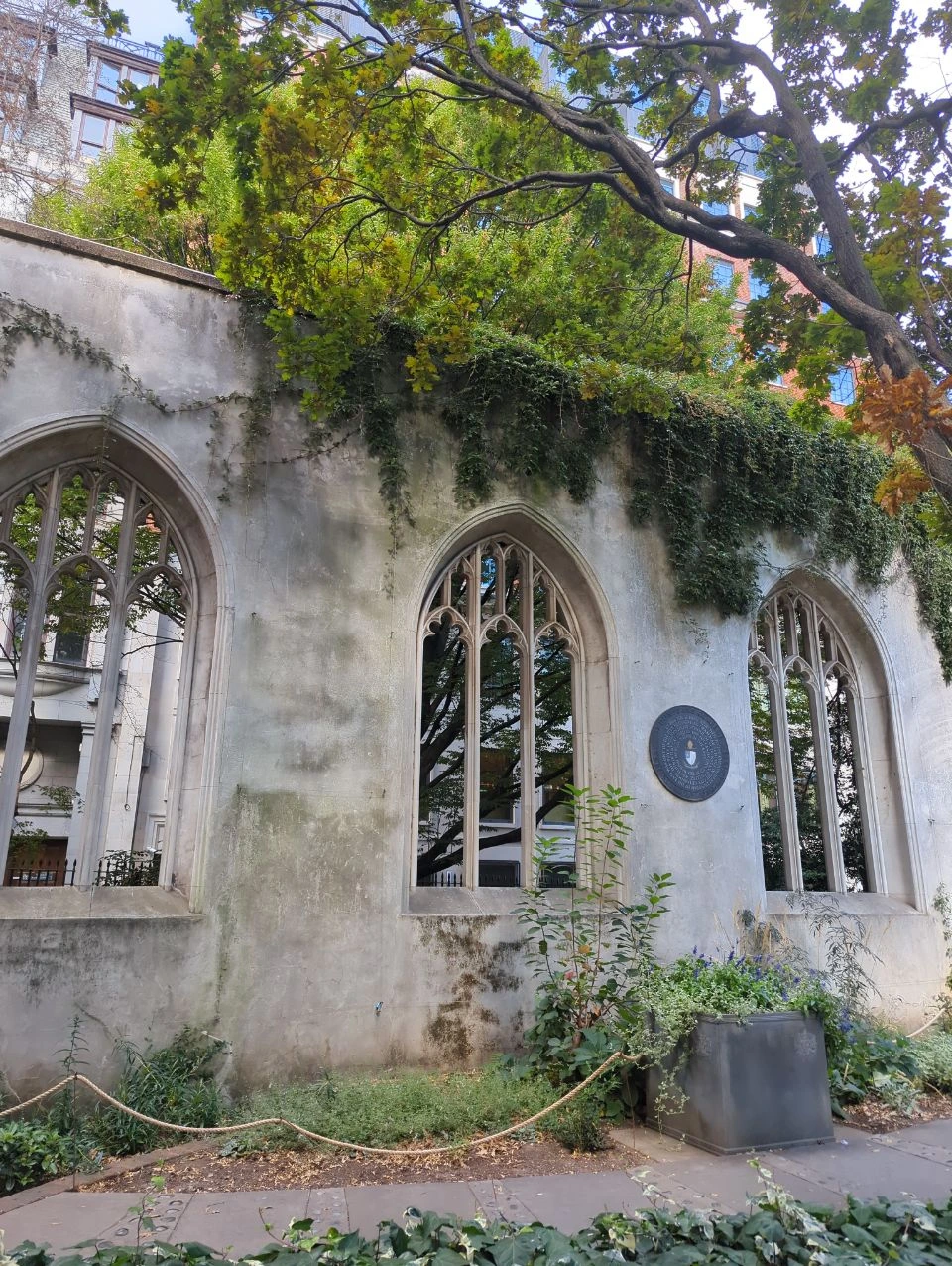 Pointed window openings in a ruined wall at St Dunstan in the East, with ivy, trees and planting beside the path