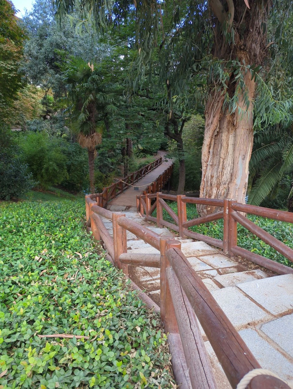 A wooden footbridge descends through dense greenery in Madrid's Retiro Park, offering a quieter natural proposal setting away from monumental architecture.