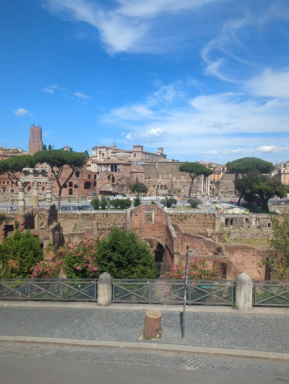 An elevated viewpoint overlooks columns, brick ruins and green areas of the Roman Forum beneath a blue sky.