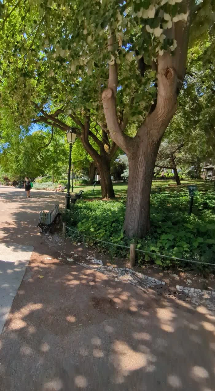 A shaded path curves beneath mature trees and past benches in Jardim da Estrela, offering a leafy setting for a Lisbon photoshoot.