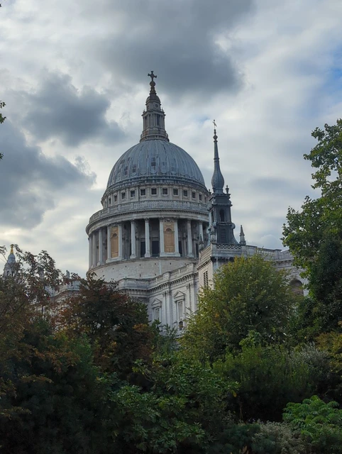 St Paul’s dome framed by trees and planting at Reflection Garden