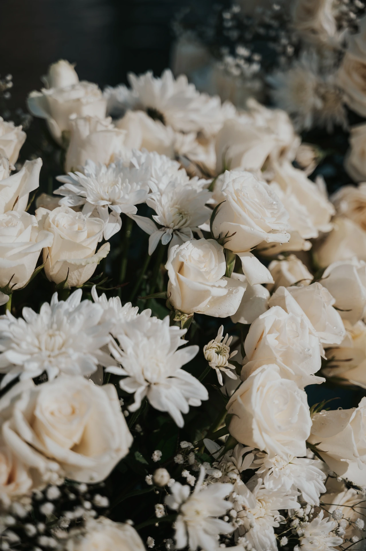 White roses and chrysanthemums form an elegant floral arrangement prepared for a Dubai proposal photography setting.
