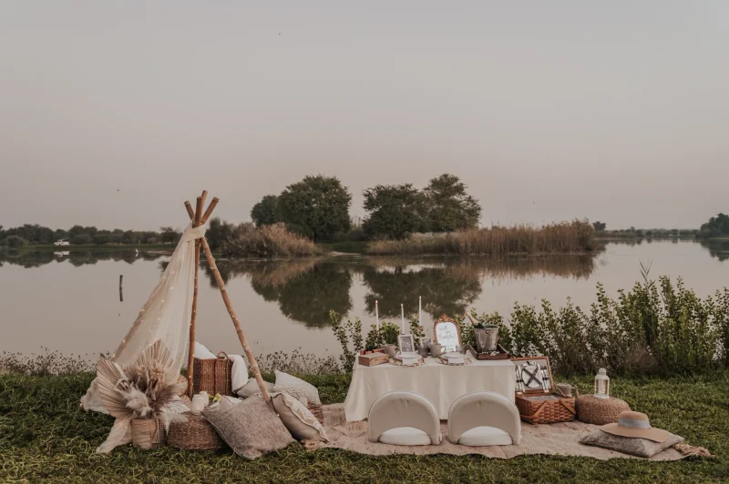 Picnic Proposal