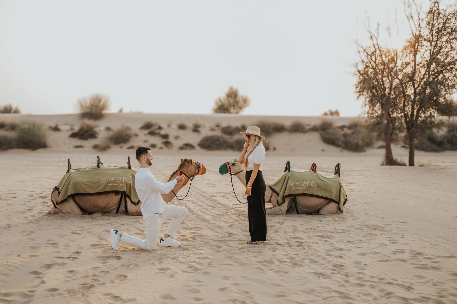Desert Adventure Proposal