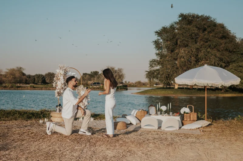 Picnic Proposal