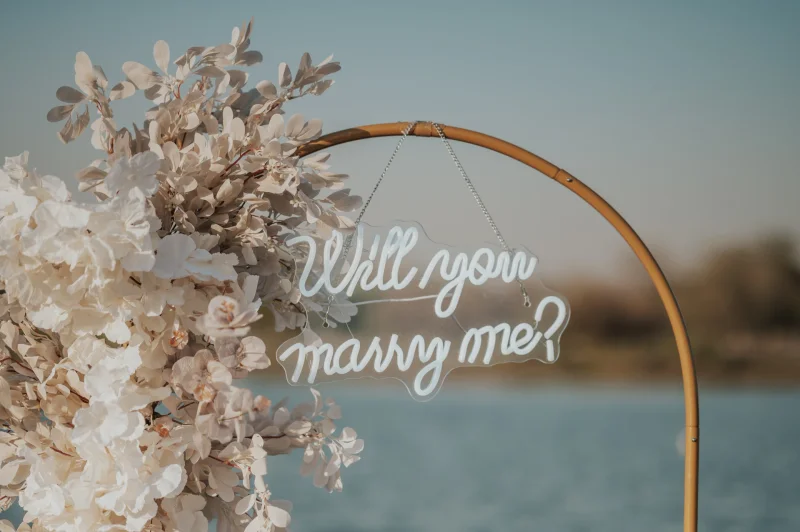 Picnic Proposal