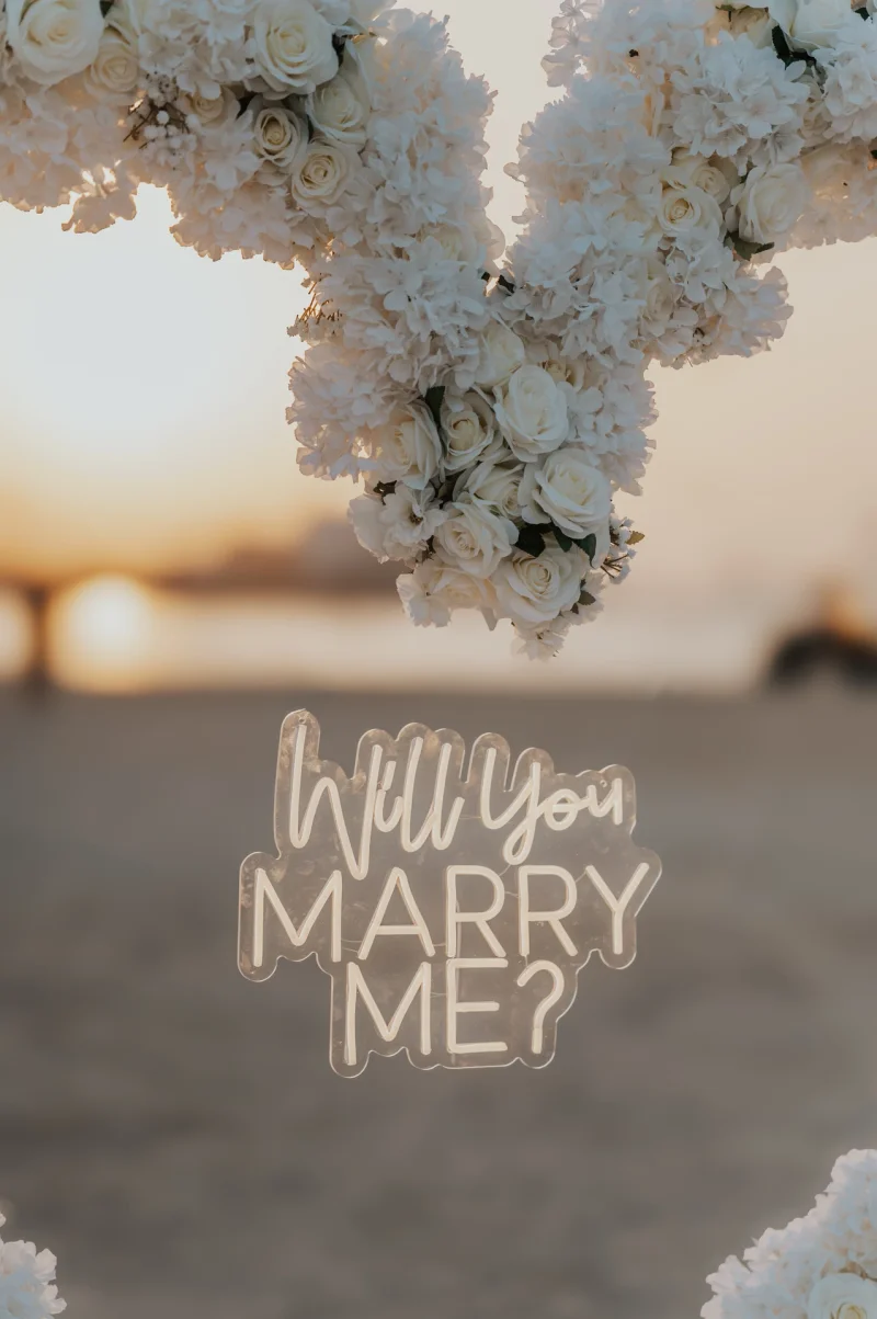Heart Proposal