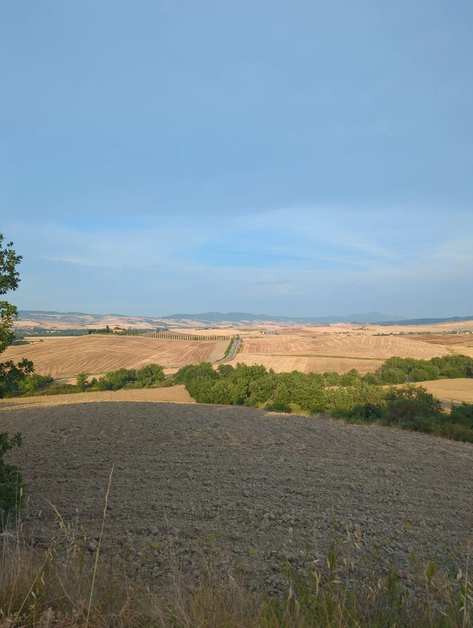 Rolling agricultural fields and a distant cypress-lined road in the Val d’Orcia countryside