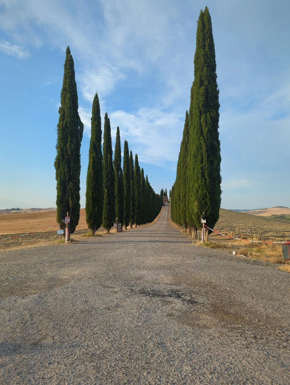 Long cypress-lined approach across the Val d’Orcia countryside for a Tuscany couple photoshoot route